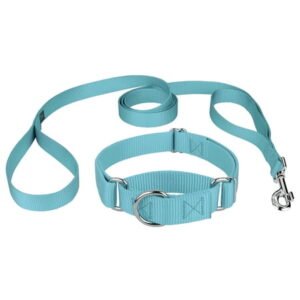 Country Brook Design® Martingale Heavyduty Nylon Dog Collar/Double Handle Leash