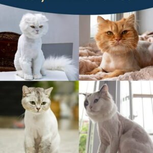 Quiet Cat Clippers for Matted & Long Hair, 2-Speed Cordless Pet Shaver Grooming Kit for Cats, Small Dogs & Animals