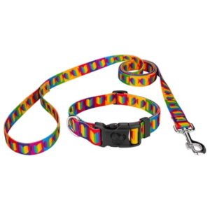 Country Brook Petz® Rainbow Hearts Everyday Dog Collar and Leash, Extra Small