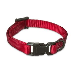 Vibrant Life Solid Polyester Dog Collar & 4ft Leash Bundle, Red, Extra Small Collar with Leash for Walking