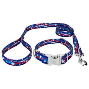 Country Brook Petz® Premium Star Spangled Dog Collar and Leash, Medium