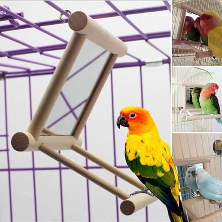 Cheers.US Bird Swing, Parrot Cage Toys,Swing Hanging Play with Mirror for Greys Parakeet Cockatoo Cockatiel Conure Lovebirds Canaries Little Macaw African Parrot