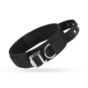 Large Dog Collar with Heavy Duty Leash, Pet Collar for Large Dogs, Adjustable Strong Dog Walking Gear,Gifts for Pets and Pet Lovers(Black,L)