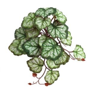 Reptile Plants Fake Leaves Artificial Lifelike Terrarium Plant for Hermit Crabs Lizards Geckos Snakes Habitat Decor