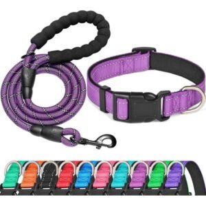 Reflective Dog Collar and Leash Set, Soft Neoprene Padded Breathable Nylon Pet Collar for Dogs
