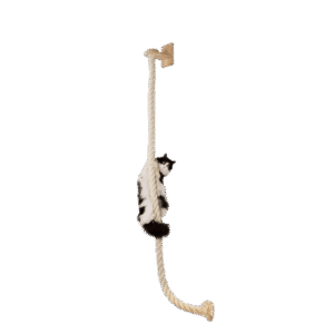 QLFYUU 55 inch Cat Climbing Toy Rope with Small Wood Shelf Wall Mounted for Indoor Cats Beige