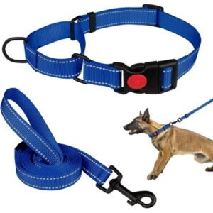 Solennerer Dog Collar Dog Leash Sets Heavy Duty Pet Leash Lead Rope for Small Medium Large Dogs Walking Running Training