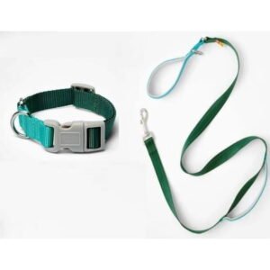 Pet Dog Leash and Collar Set Colorblock (Medium, Green/Teal)