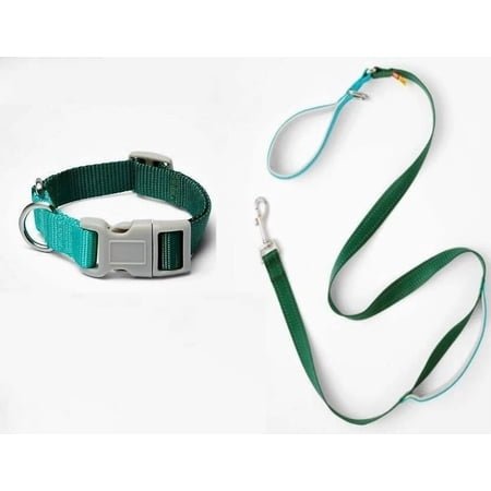 Pet Dog Leash and Collar Set Colorblock (Medium, Green/Teal)