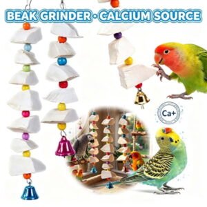 Bird Cuttlebone Chew Toys, Natural Cuttlefish Bone for Birds Beak Grinding & Calcium Supplement, Hanging Cage Accessories for Small Medium Birds S