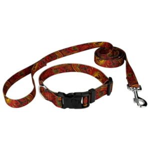 Country Brook Petz® Fire Paisley Everyday Dog Collar and Leash, Small