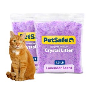 PetSafe ScoopFree Premium Crystal Cat Litter, Lavender, Silica Crystals, 4.3 lb, 2-Pack, Purple