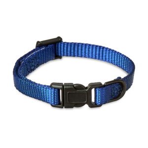 Vibrant Life Solid Polyester Adjustable Dog Collar, Blue, XS