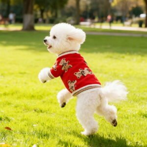 2026 Cute Pet Clothes Dog Sweater Cute Bear Dog Cardigans Clothes Puppy Knitting Coat Soft Pet Fall Winter Warm Apparel For Small Medium Dogs Boy Girl Cat Sweaters Outfits