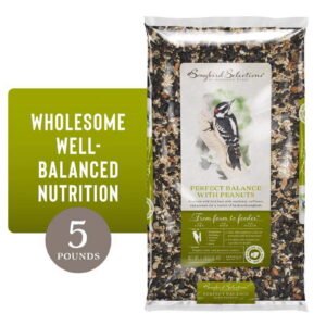 Golden Harvest Audubon Park Songbird Selections Wild Bird/Poultry Bird Seed Black Oil Sunflower 5 lb.