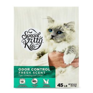 Special Kitty Clumping Clay Cat Litter, Fresh Scent, 45 lb Box, 1 Count