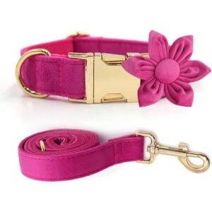 HQREA Female Dog Collar and Leash Set for Large Dogs Personalized Velvet Floral Pet Collar with Leash for Dogs