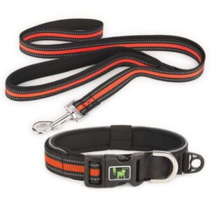 Gustave Reflective Dog Collar and Leash Set Adjustable Neoprene Padded Pet Collar Leash with Safety Locking Buckle & Comfortable Handles for Small Medium Large Dogs Walking Training “Orange, S”