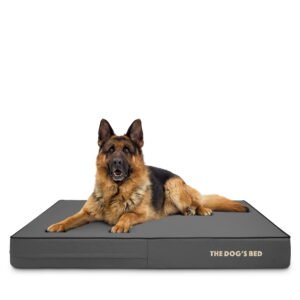 The Dog’s Bed Orthopedic Memory Foam Dog Bed, XL Grey & Black 46×28, Pain Relief for Arthritis, Hip & Elbow Dysplasia, Post Surgery, Lameness, Supportive, Calming, Waterproof Washable Cover