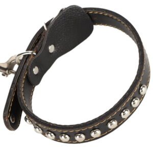 Artificial Leather Dog Collar and Leash Set with Spring Buffer for Medium Large Dogs, Black