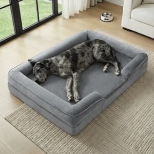 Orthopedic Dog Bed | Supportive Foam PetCushions with Washable Removable Cover,Egg-Crate Foam, Lining Bottom, Grey, for Smallto Large Dogs