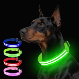 TTJ Puppy Collar Dog Collar and Leash Set Illuminated Dog Collar Double Fiber Optics Pet Collar Nighttime Dog Walking Glows In The Dark Pet Supplies Dog Collar with Light Rechargeable
