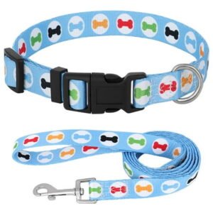 Didog Floral Dog Collar and Leash Set Flower/Bone/Strip Pattern Beagle Bulldog Yorkie-Colorful Nylon Pet Dog Collar Puppy Cat Walking Leash for Small Medium Dog