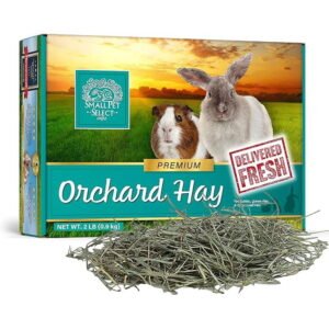 Small Pet Select Orchard Grass Hay Pet Food, 2 Lb.