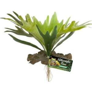 Zoo Med Naturalistic Flora Staghorn Fern Terrarium Plant [Decor, Reptile Supplies] 1 count