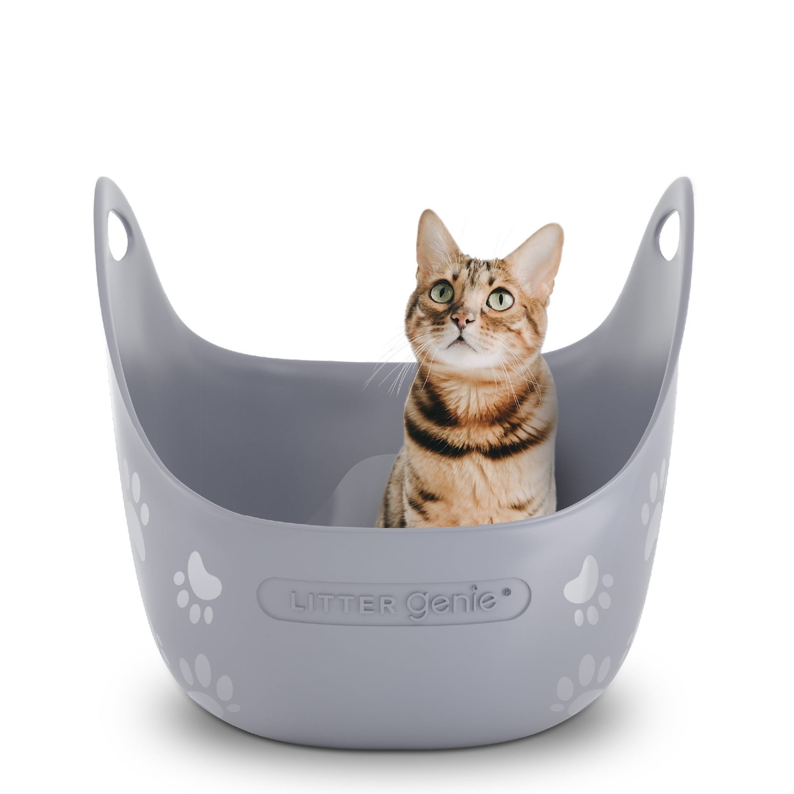 Litter Genie High-Sided Cat Litter Box with Handles, Silver
