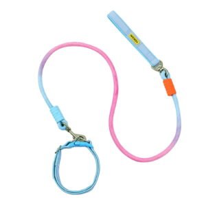 Dog Collar and Leash Set | Blue Dog Collar | Durable Nylon for All Size Dogs Everyday Walks