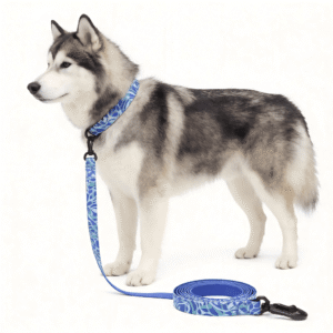 Dog Collar and Leash Set, Waterproof Printed PVC Dog Leash Collar for Medium Large Dogs, Durable Pet Walking Leash for Outdoor Daily Use