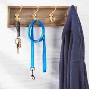 Vibrant Life Reflective Polyester Dog Leash, Blue, Medium, 5 feet
