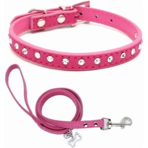 Puppy Collar and Leash with Bling Diamond, Pretty Crystal Sparkly Rhinestone Glitter Jewel Girls Cat Collars for XXS Xs Small Medium Pet Female Dogs Boys Kitten