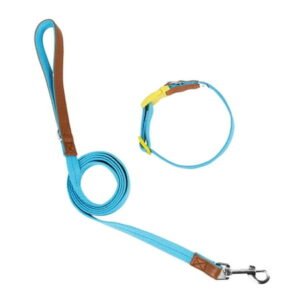 Dog Collar and Walking Leash Set Heavy Duty Comfortable Dog Leash for Medium Dogs Multicolored Dog Leash