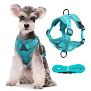 Deeceymbur Dog Leash and Collar Set, Dog Leash for Small Medium Dogs Puppy and Cats Outdoor Walking Running