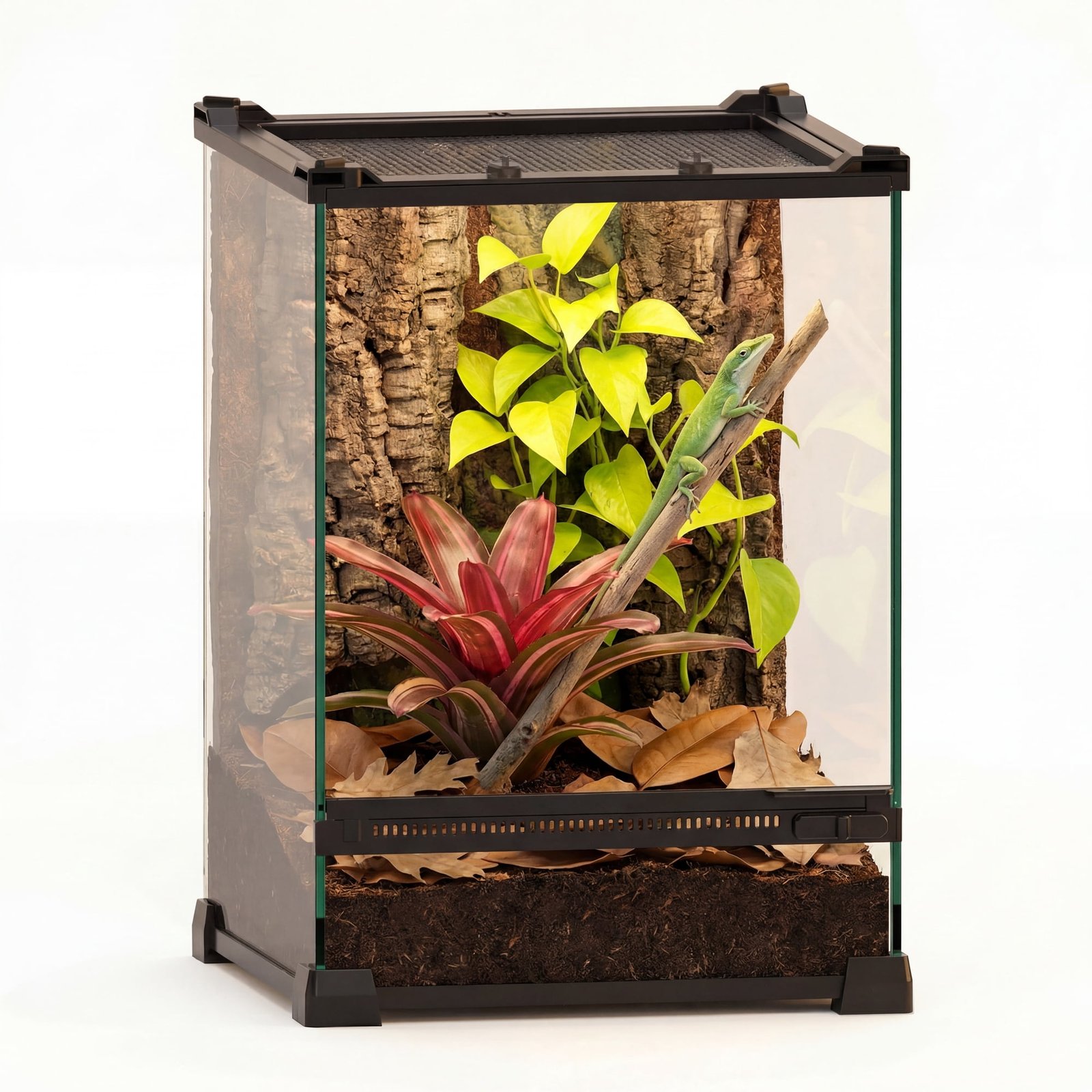 NEPTONION Mini Reptile Glass Terrarium 10″x10″x14″ Durable Reptile Habitat Tank with Heat Resistant Aluminum Alloy Frame, Double Swinging Doors for no Jam by Sand and Other Debris