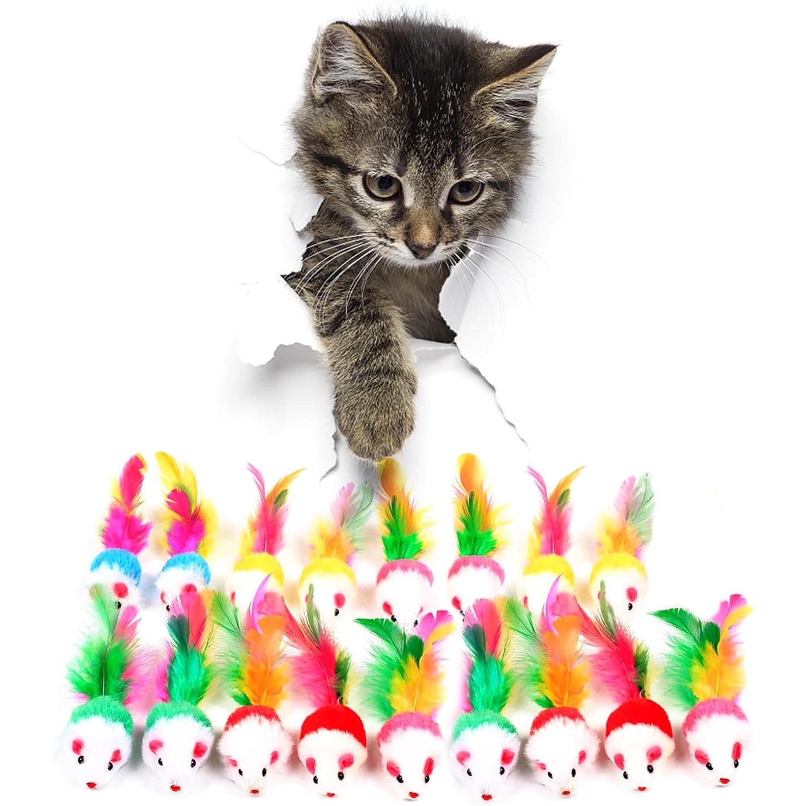 Ejiaya Cat Mouse Toys,12 PCS Cat Toy Mice Rattle Set,Interactive Cat Toy for Indoor Cats and Kittens,Assorted Color Catnip Toys with Feather Tail