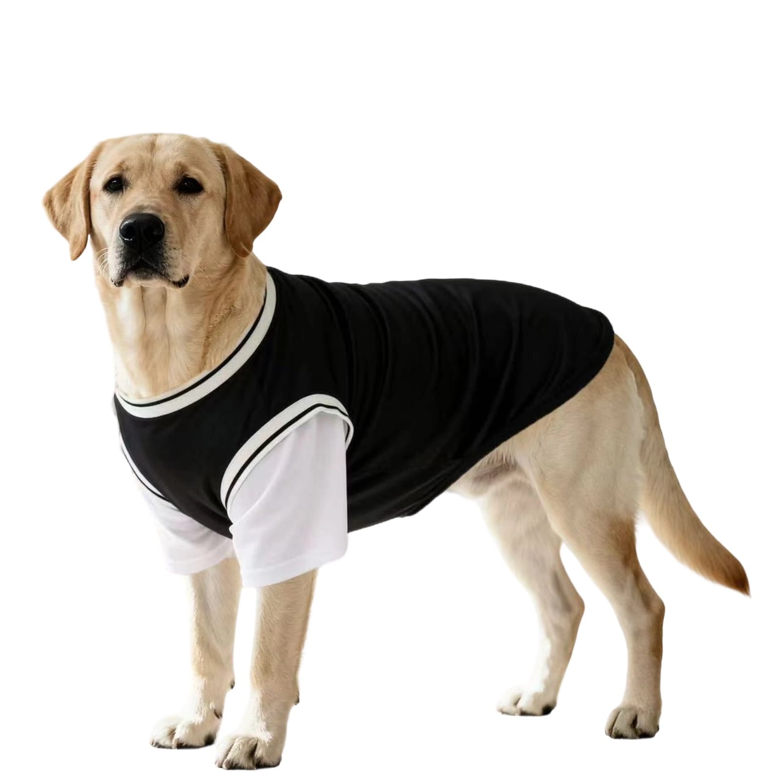 Dog Shirt for Large Dogs, Dog Clothes for Large Dogs Breathable Mesh Stretchy Dog Clothing, Sleeveless Dog Jersey Black Large Breed Pet Apparel for Daily Outdoor Walking 1 Pack